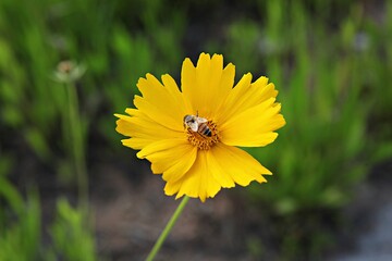 한국 경기도 시흥시 갯골생태공원 입니다
