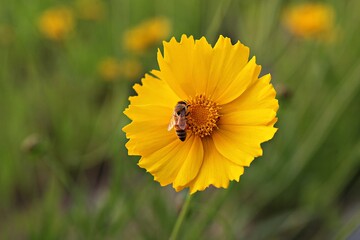 한국 경기도 시흥시 갯골생태공원 입니다