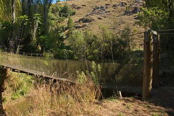 Suspension bridge on Waitomo walkway near Waitomo in Waikato region on North Island of New Zealand 
