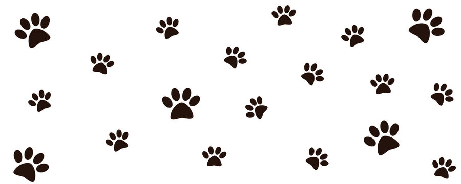 Track of cat dog tracks, footprint, design. Footprints of cat or dog on white background