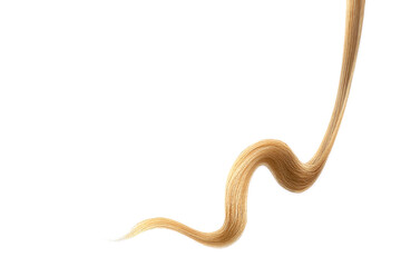 Obraz premium Brown hair on white background, isolated. Thin thread