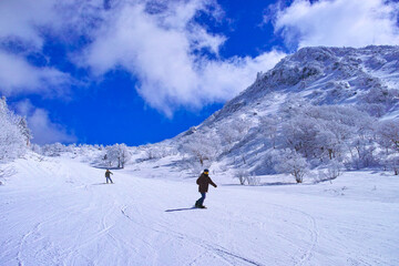 Fototapeta na wymiar 真冬のゲレンデを滑走するスノーボーダー達 