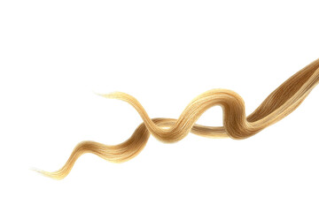 Brown hair on white background, isolated. Thin curly threads