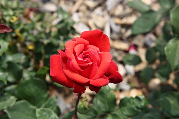 한국 경기도 시흥시 갯골생태공원 입니다