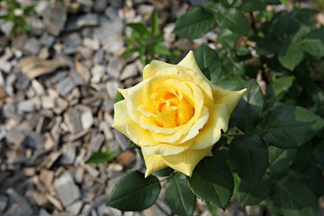 한국 경기도 시흥시 갯골생태공원 입니다