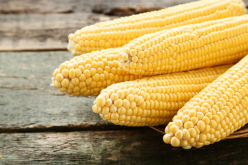 Ripe corn on grey wooden table