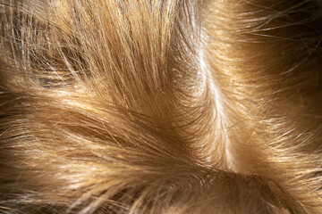Brown shiny hair abstract background texture. Macroshot