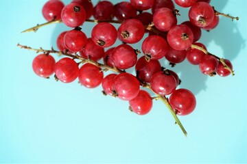 red currant on a white background