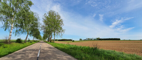 Droga przez pola upraw 