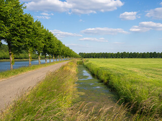 Country road next to the Amsterdam-Rijn canal and a ditch filled with duckweed in a village called Schalkwijk. 