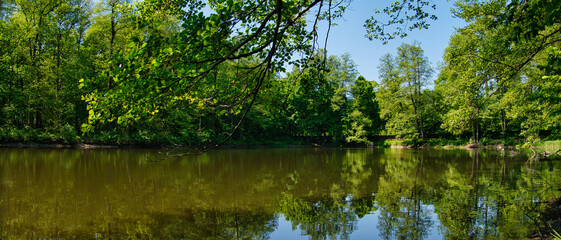 Fototapeta na wymiar Widok na jezioro w lesie. Wiosna