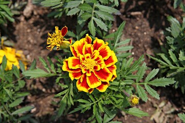 한국 경기도 시흥시 갯골생태공원 입니다