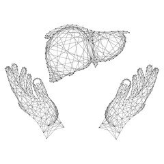 Liver human organ and two holding, protecting hands from abstract futuristic polygonal black lines and dots.
