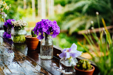 Beautiful flowers in a glass bottle on the wet wooden counter after rain
