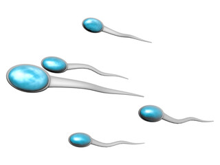 3d illustration of sperm cells