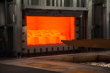Heavy forgings plant