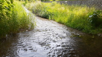 散歩道　小川