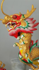 Dragon, a magical animal known in Chinese and Western literature