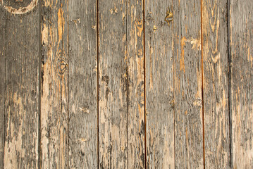 Texture of an old wooden door