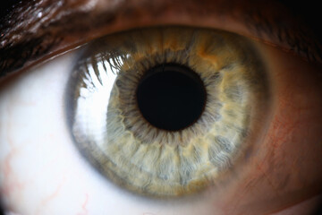 Closeup, healthy green human pupil, eye diagnosis