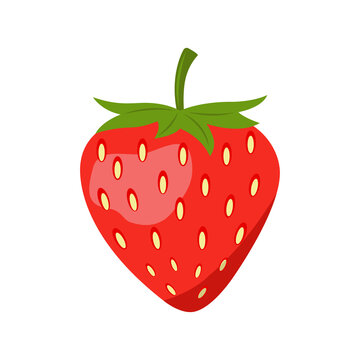 strawberry - fruit icon vector design template