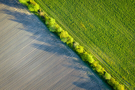 Top View Of A Plowed Field