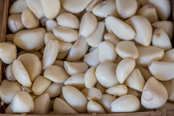 Garlic peeled cloves close up. Heap of cleaned garlic background