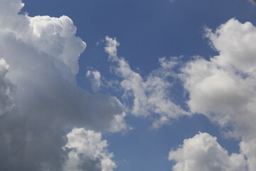 Naklejka na ściany i meble white fluffy clouds in the blue sky.