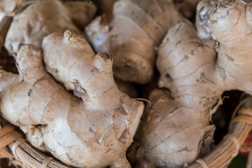 Ginger heap background. Ginger root background. Close up