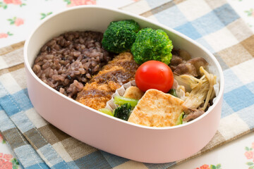 玄米のお弁当 Japanese lunch box