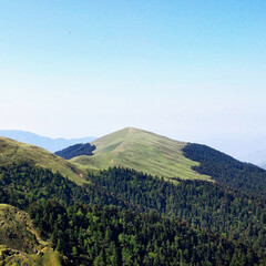 Trekking through the most beautifull meadows in indian Himalayas