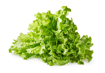 Salad leaves isolated on white background.