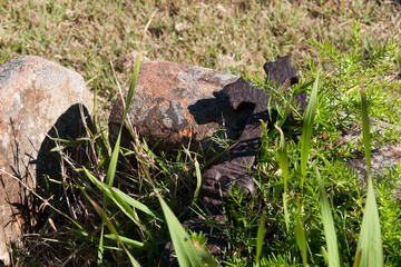 Sydney Australia, wrought iron cross laying among the  grass