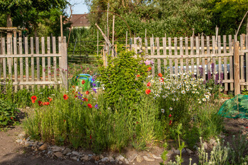 Die Blumen in einem Schrebergarten in voller Blüte