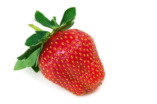 A fresh strawberry on white background