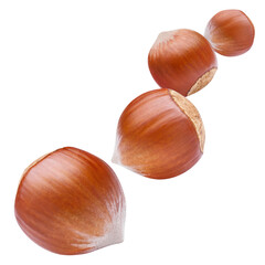 Flying hazelnuts, isolated on white background