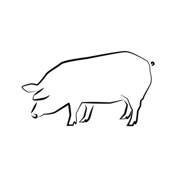 Pig icon. Outline vector illustration. Hand drawn style. Farm animals. Logo of pig full length isolated on white.