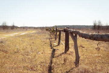 Wooden fence in perspective, in the background Polissya forest. Sunny spring day. Zarichne village, Ukraine, Europe