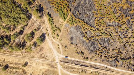 View from the drone on the Polissya forest after the fire. Sunny spring day. Zarichne village, Ukraine, Europe