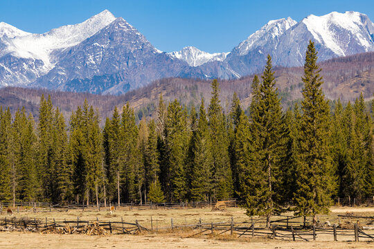 view of the Sayan Mountains in the Tunka Valley