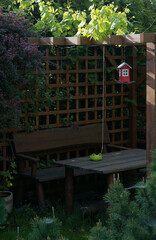Garden gazebo with vine creepers on the roof