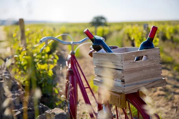 Fotobehang Vieux vélo portant une caisse de vin dans les vignes en France. © Thierry RYO