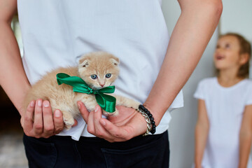 Father man holding little kitten in hand, surprise presenting cat