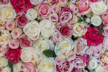 background of red, pink and white colored silk roses