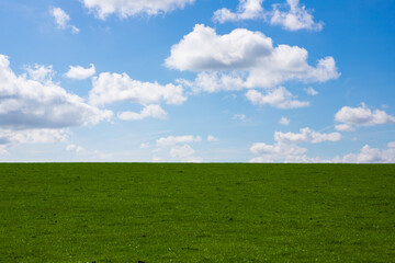 Bright blue sky with white fluffy clouds and green grass pasture