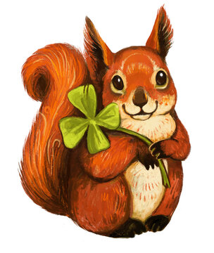  squirrel on a white background