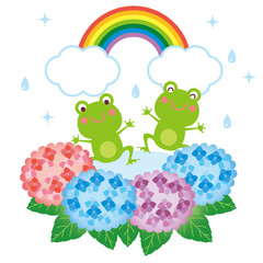 梅雨　紫陽花とカエルと虹　イラスト