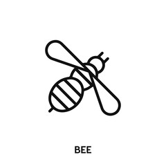 bee icon vector. bee sign symbol.