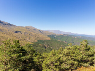 Fototapeta na wymiar mountain landscape with trees in Sierra Nevada (Spain) 