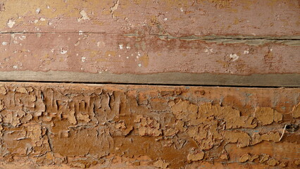 texture image of a tree for the background